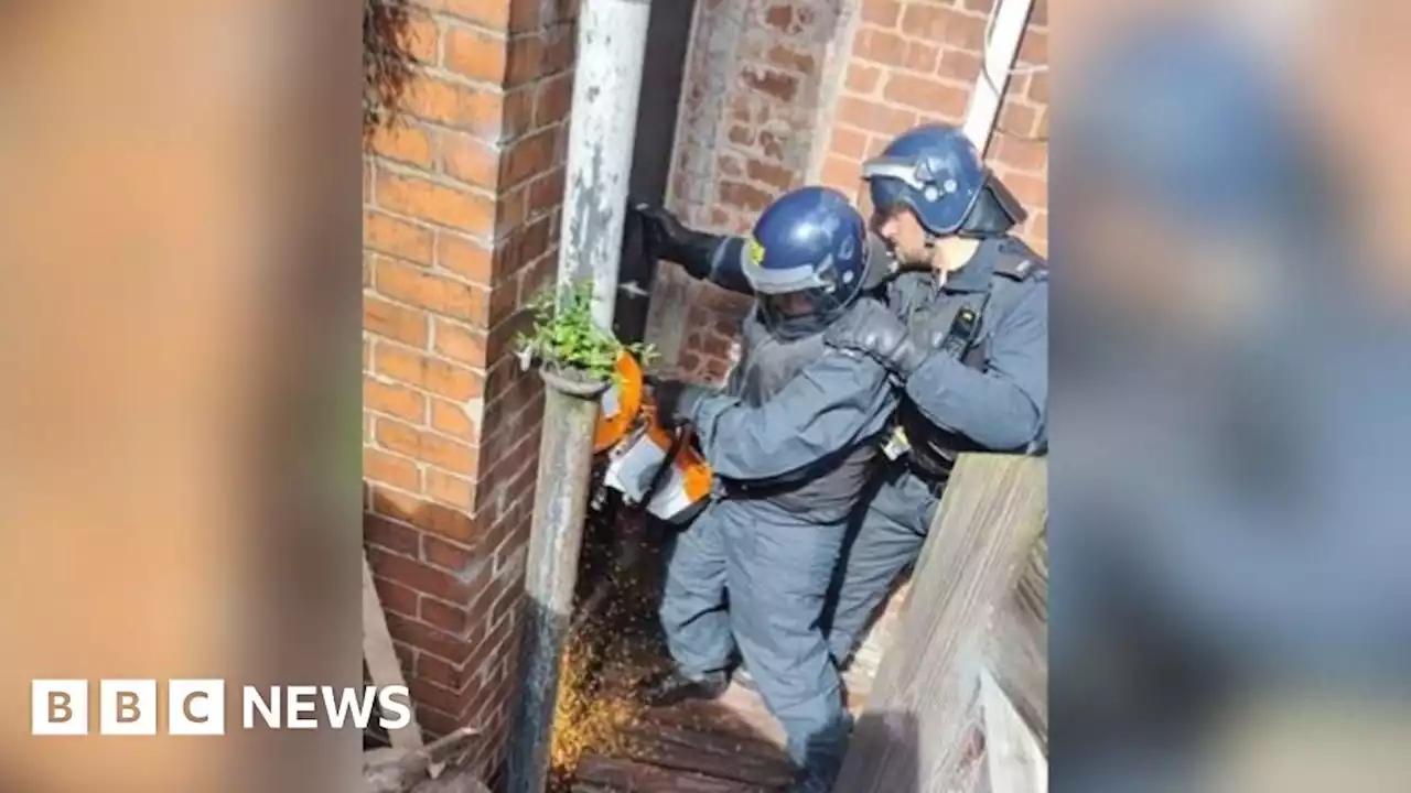 Rotherham: Police seize £11m of cannabis plants in 10 months