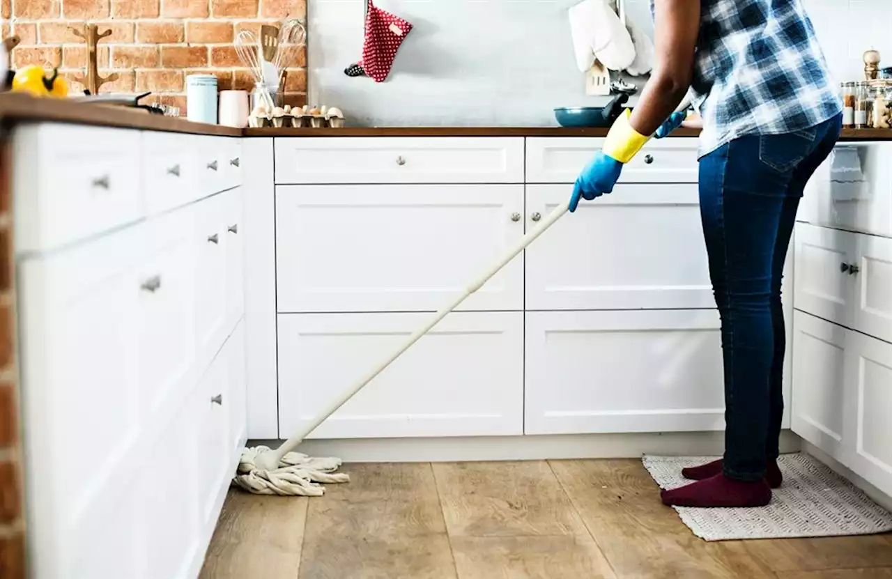 SA domestic workers too scared of losing jobs to report verbal, physical abuse – report | Businessinsider