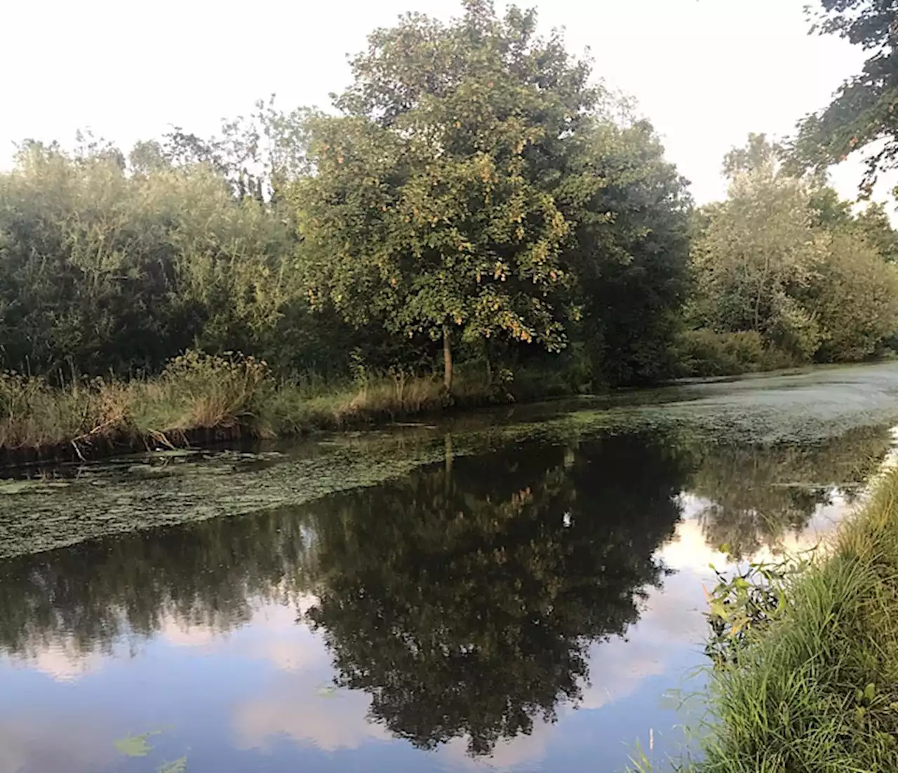 Garstang Town Council issue Lancaster Canal pollution update