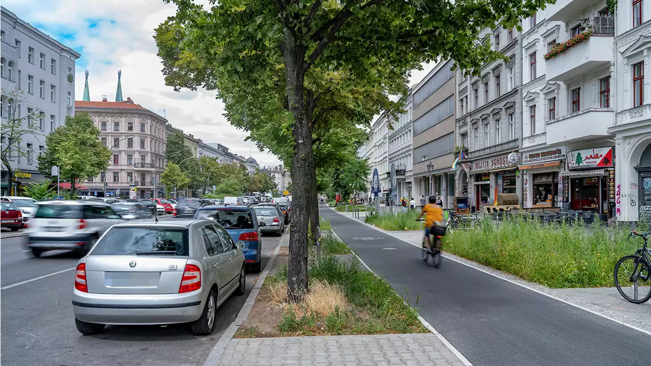 Radweg und Platz für Unkraut, aber keine Parkbänke!