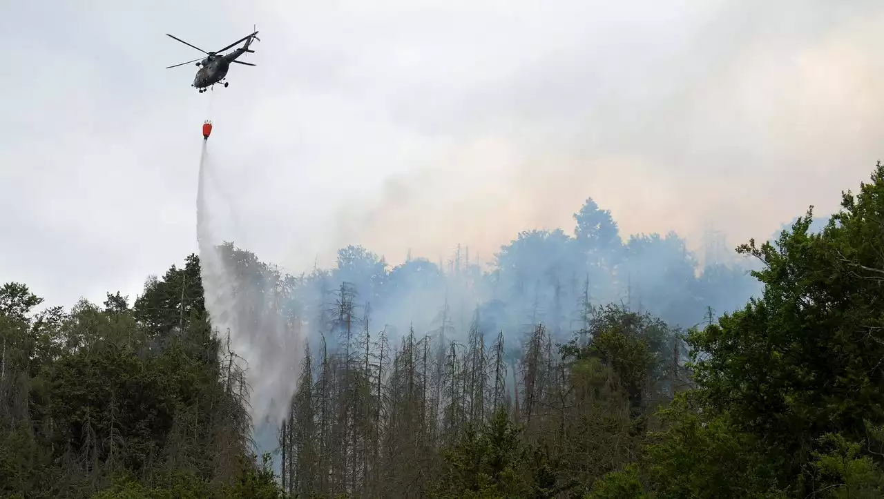 (S+) Waldbrände in Tschechien: »Das Feuer war noch nie so groß«