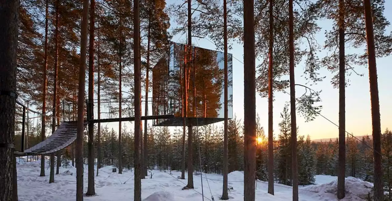 Reconnect With Nature In A Scandinavian Treehouse Hotel