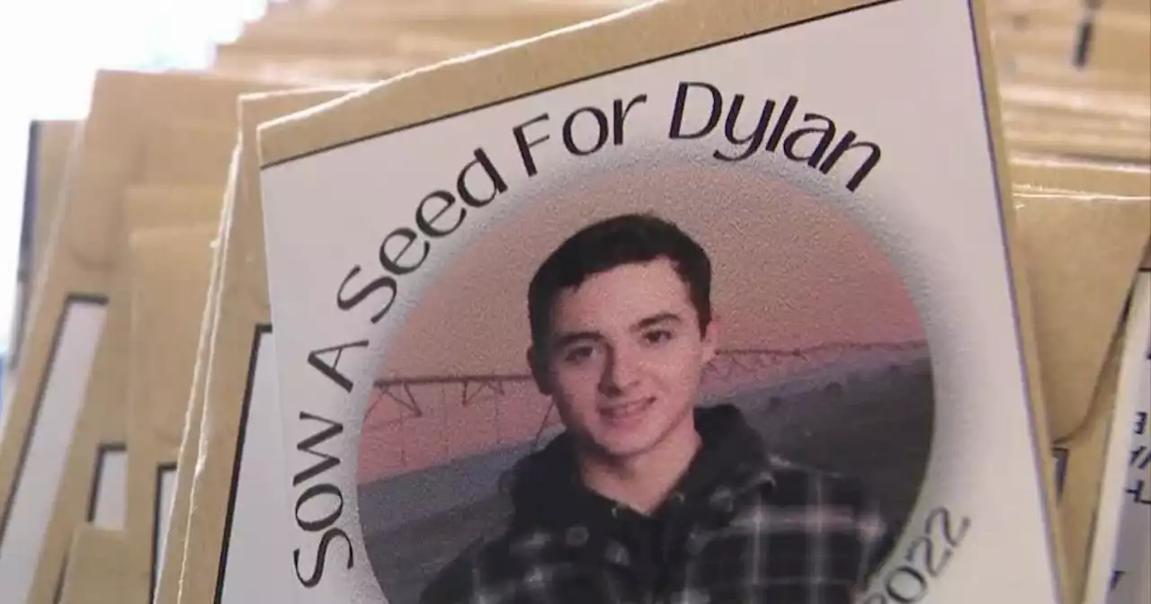 Family of missing Utah man plants sunflowers, staying hopeful on his 20th birthday