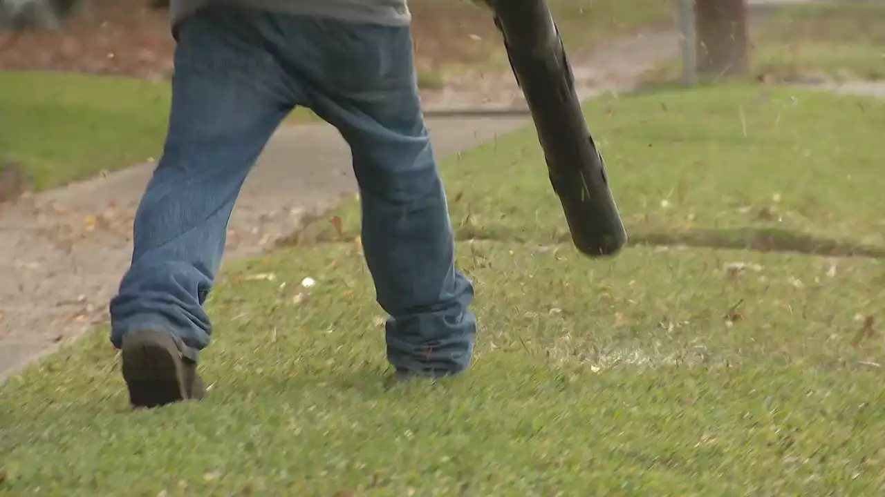 Dallas City Council could soon approve ban on gas-powered leaf blowers