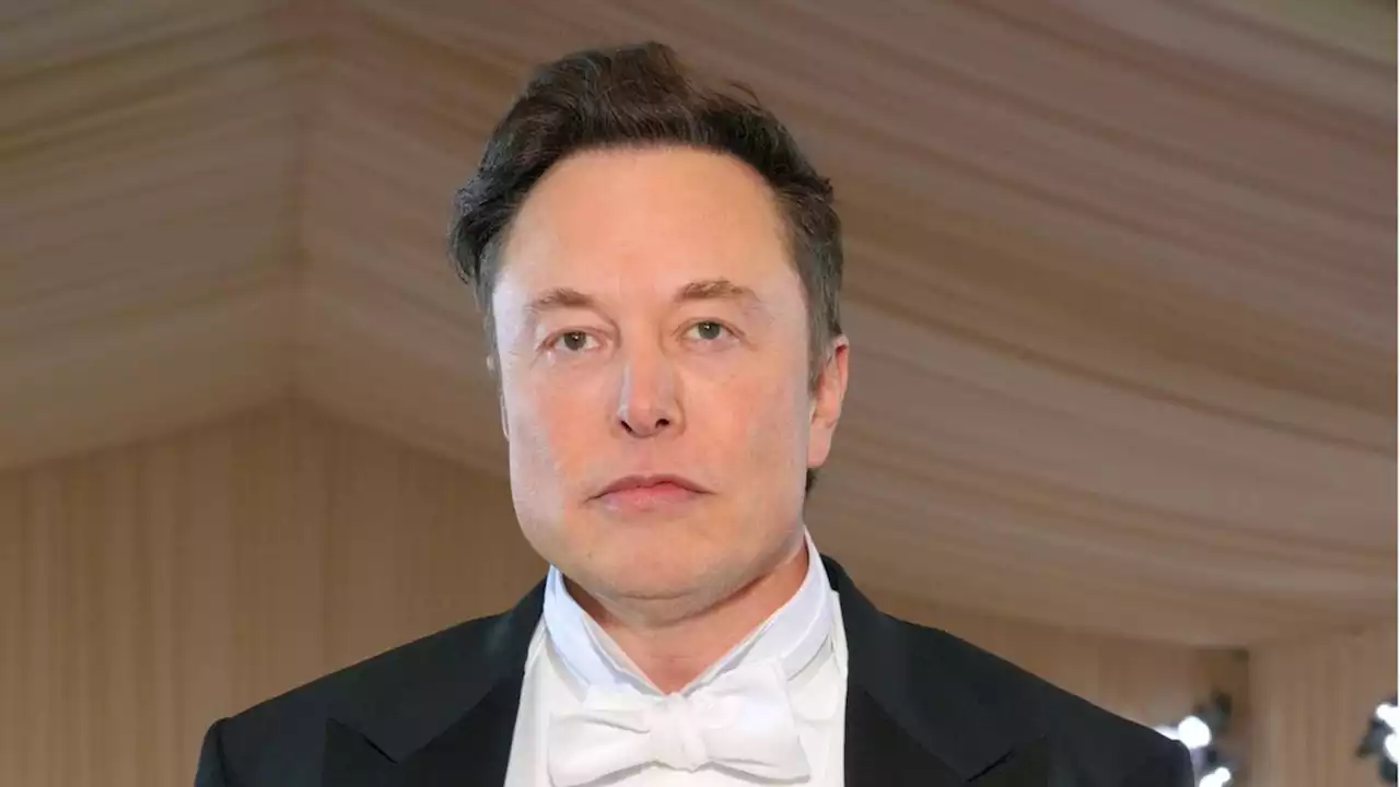 Elon Musk: 'Sehr kräftig gebaut' – Vater Erroll lässt kein gutes Haar an ihm