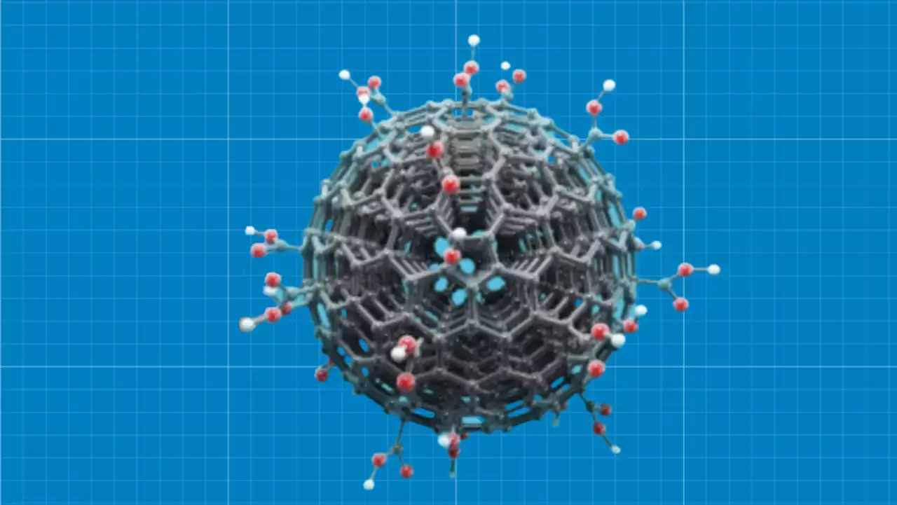 A new method converts fish waste into valuable carbon-based nanomaterials