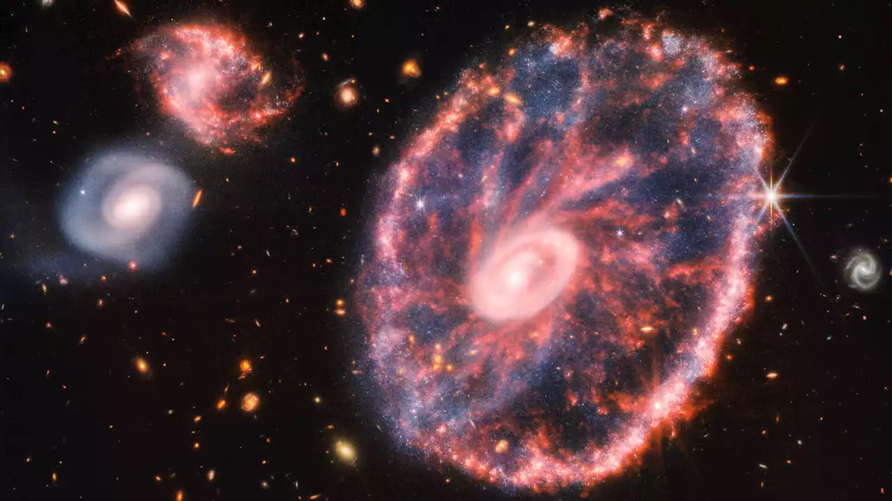 Behold the Cartwheel Galaxy! NASA showcases another dazzling James Webb image