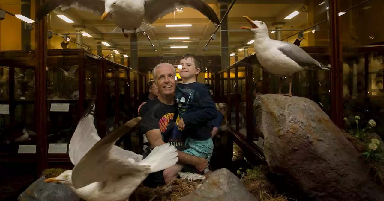 Dead Zoo reopens in Dublin for first time in over two years