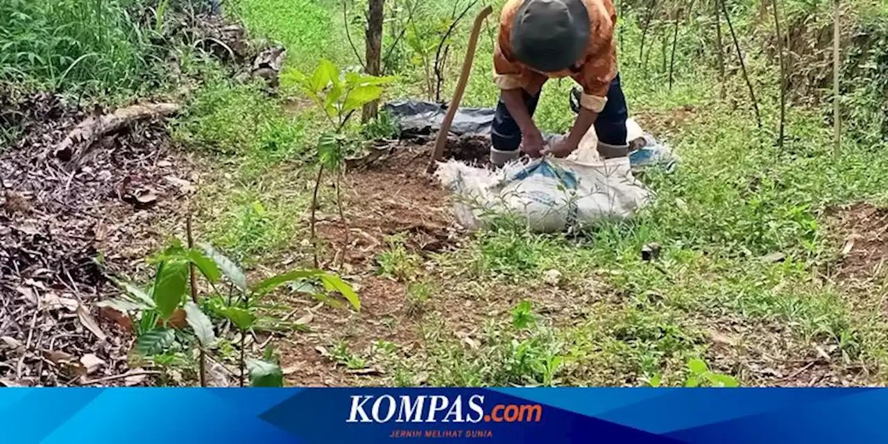 Kisah Abah Ajo, Petani Segala Rupa yang Sukses Ajarkan Sarjana Pertanian Berbagai Kampus