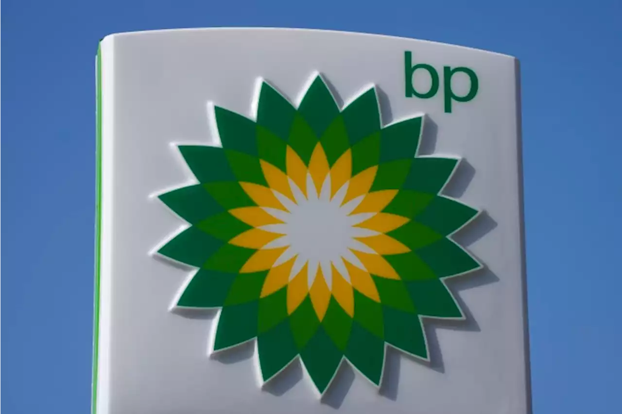 BP earnings soar as energy firm profits from rising prices