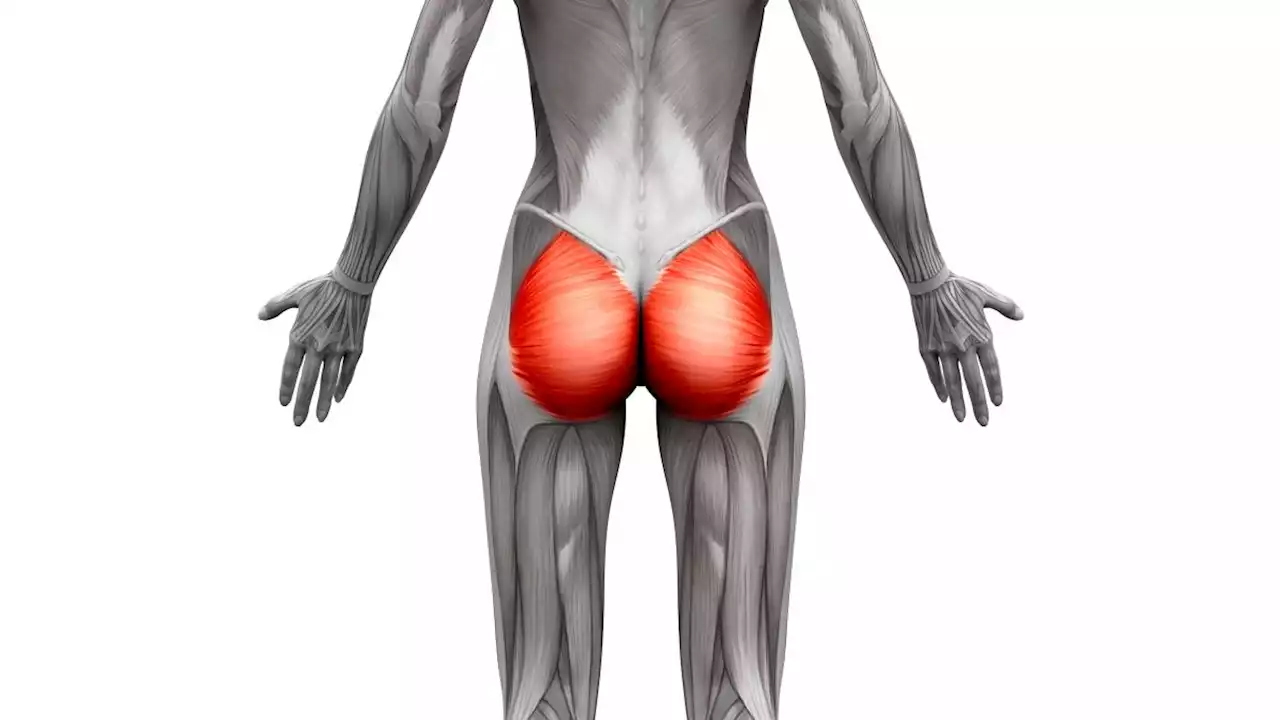 Glute muscles: What they are and how to make them stronger