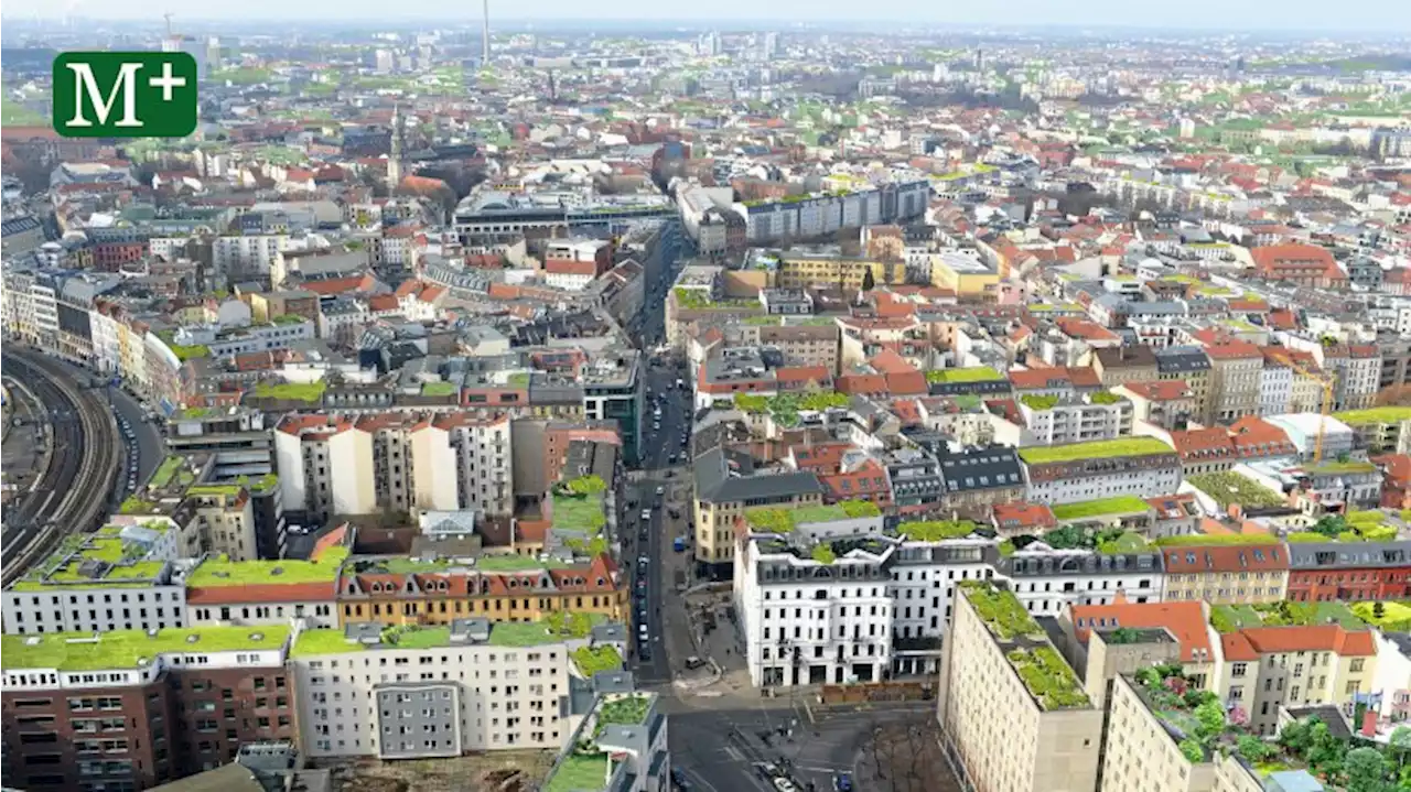 Bei grünen Dächern fehlt Berlin der Überblick