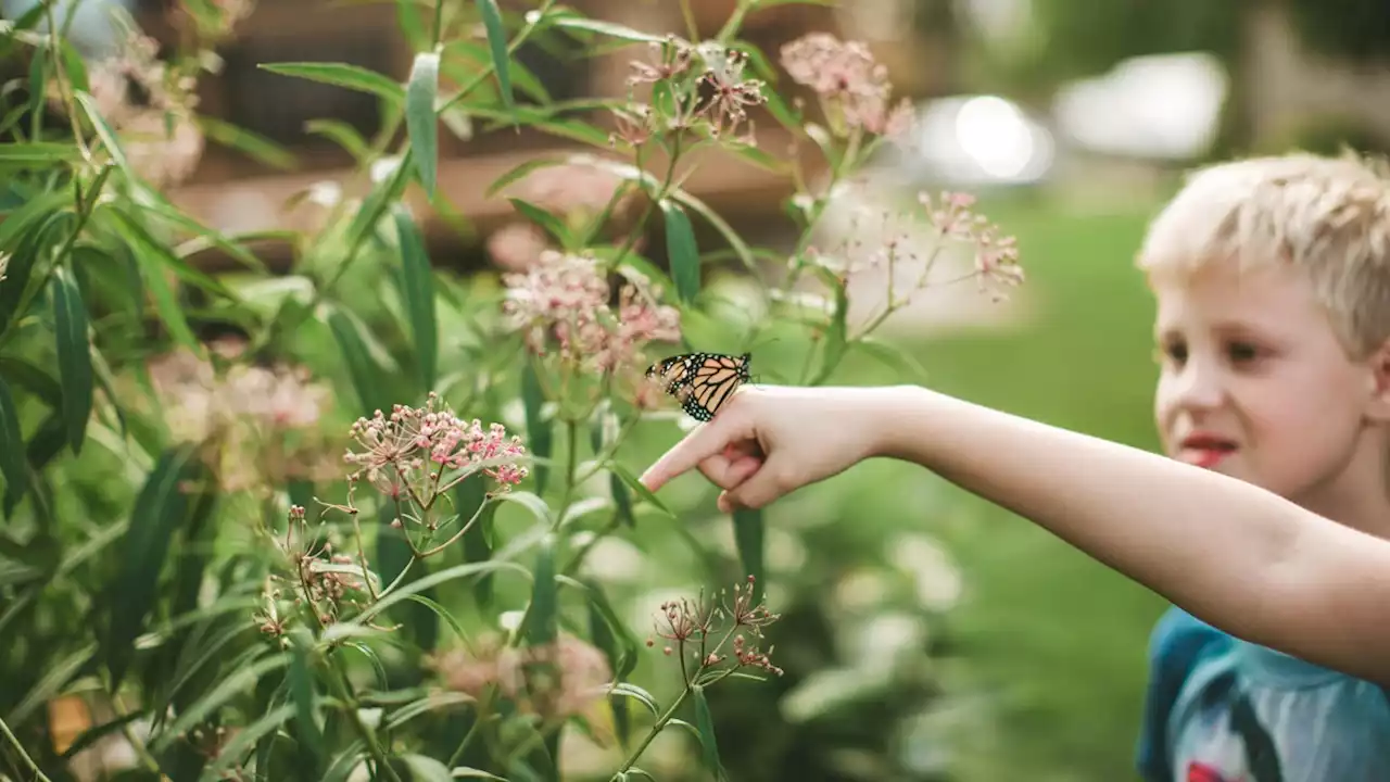 How gardening with native plants can teach kids eco-stewardship