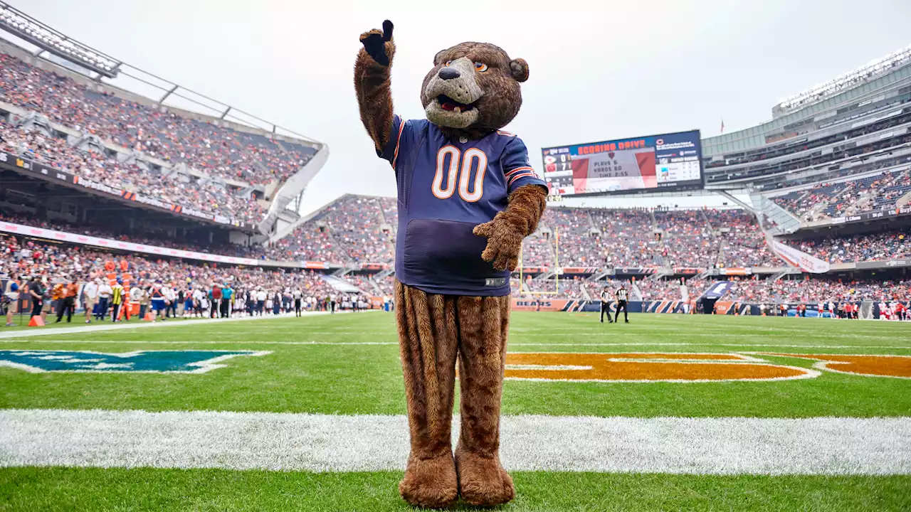 2022 NFL Mascots: How Much Do They Make and How Many Are There?