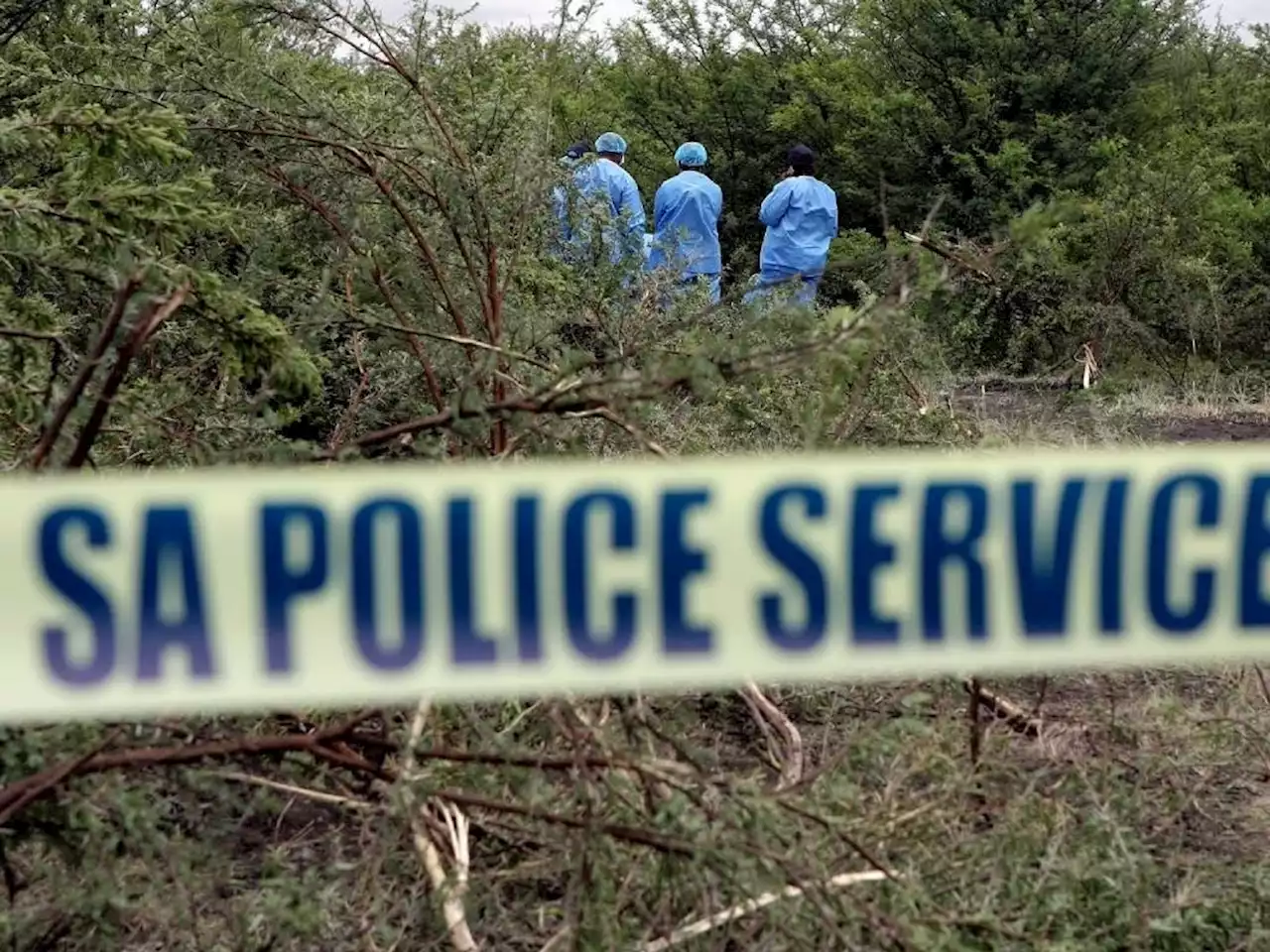 Residents go on rampage after two people killed in mauling by five Rottweilers on farm | News24