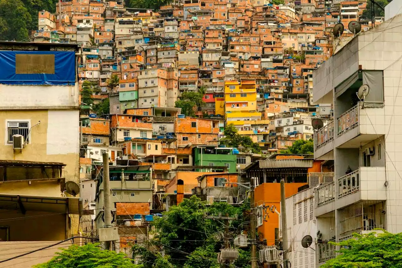 How kids are winning the fight against dengue fever in a Rio favela