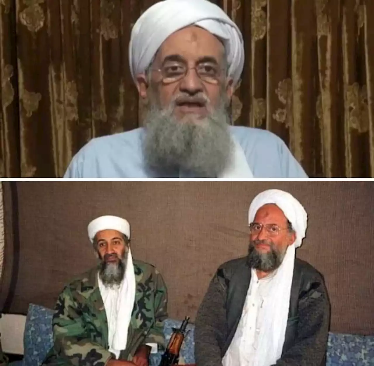 Al-Zawahiri killing: 'In Nigeria, we beg terrorists' - APC's Fani-Kayode attacks Buhari govt