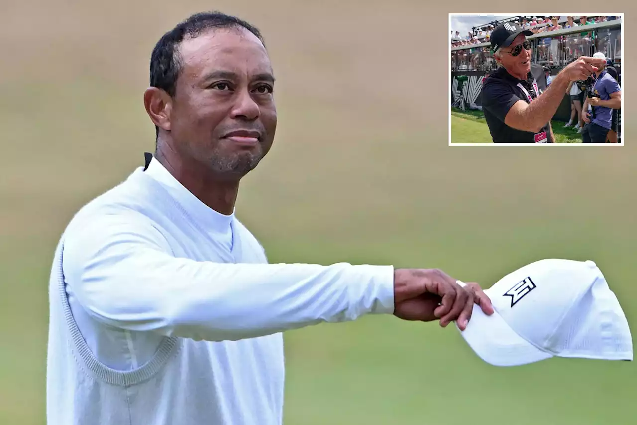 Greg Norman: Tiger Woods turned down LIV Golf’s $700 million-$800 million offer