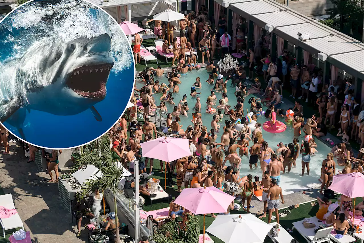 ‘Let the sharks have it’: Beach lovers scrambling for NYC pool space after series of attacks