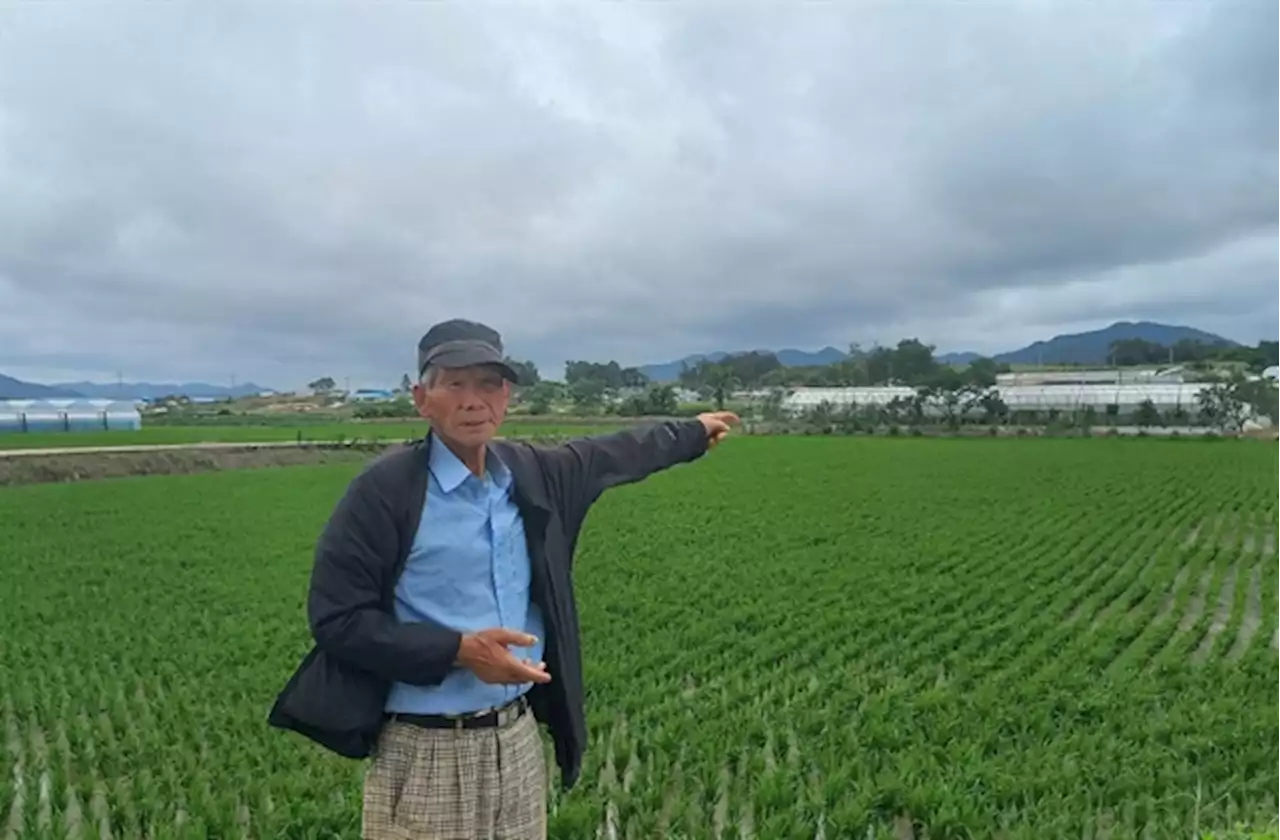 죽은 엄마 젖 빠는 아기에게 총질... 대한민국 군대가 저지른 일