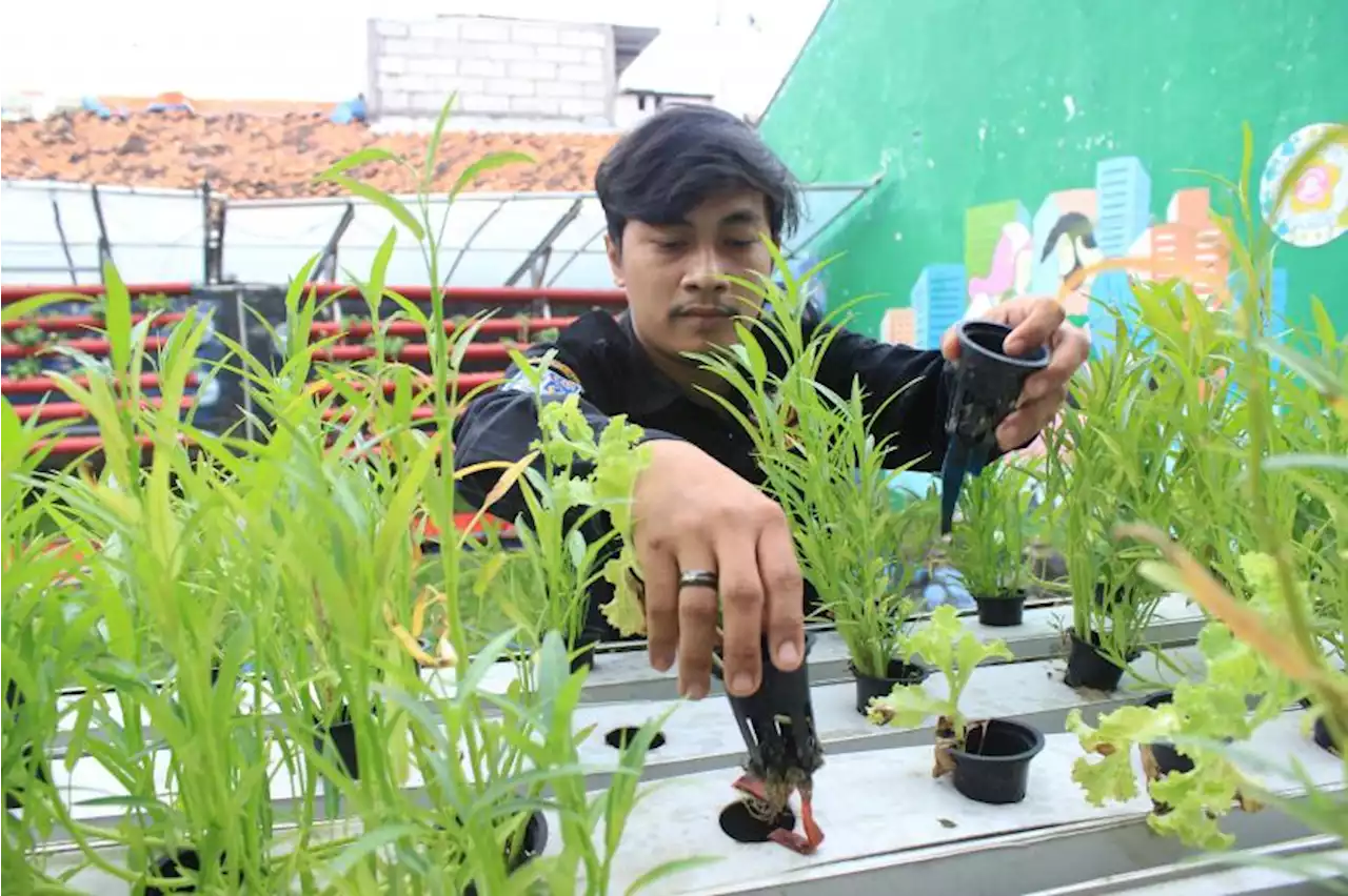 Karang Taruna Kebon Baru Juara 1 Lomba Teladan Tingkat DKI Jakarta 2022 |Republika Online