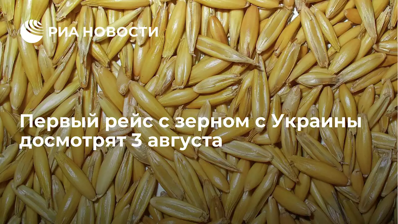 Первый рейс с зерном с Украины досмотрят 3 августа