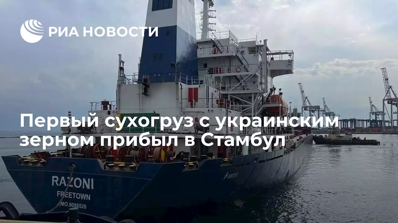 Первый сухогруз с украинским зерном прибыл в Стамбул