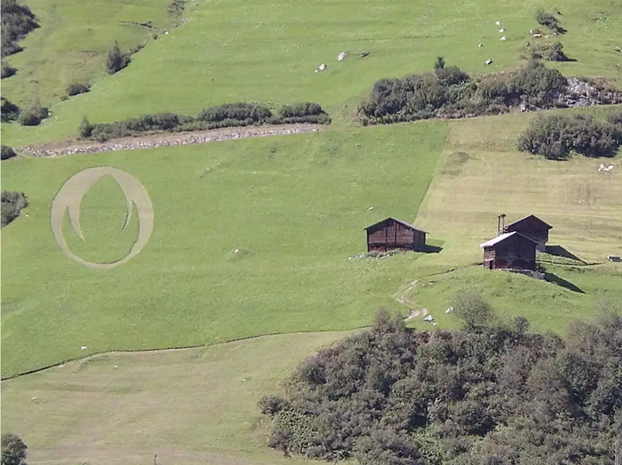 150 schwerwiegende Fälle pro Jahr - Schweizer Bauer