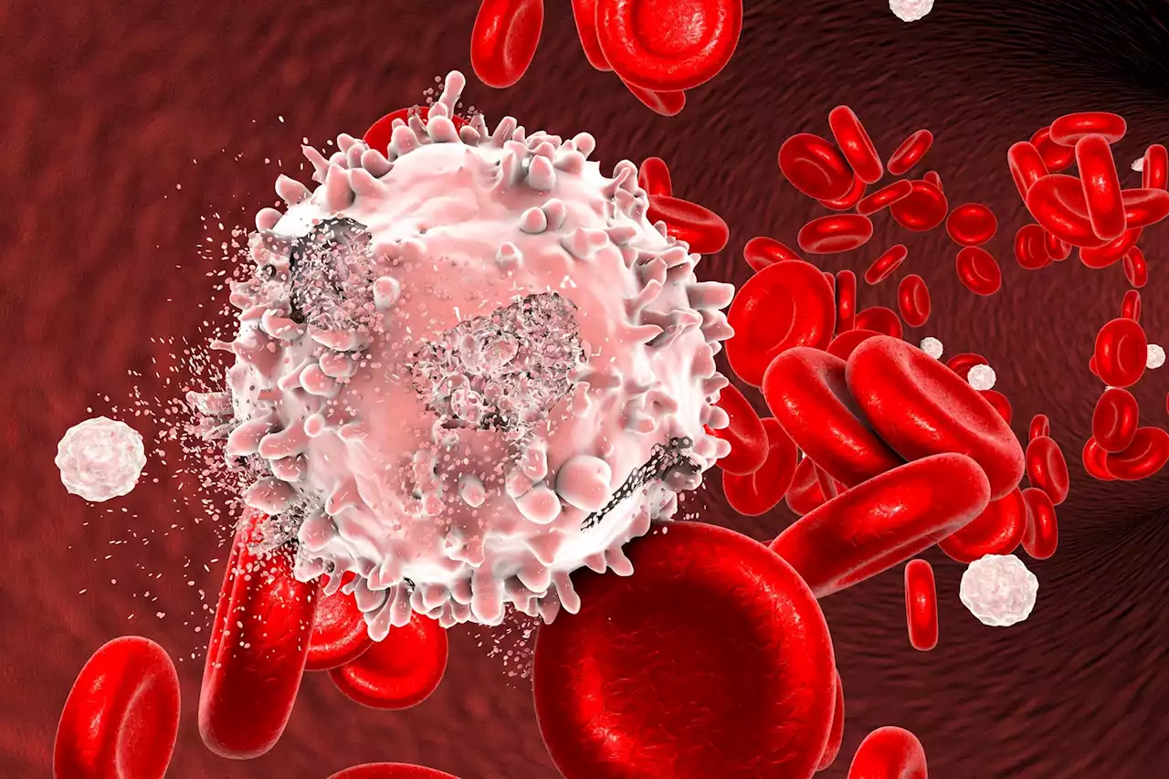 A Cell Found in Everyone’s Body Can Transform Into Blood Cancer