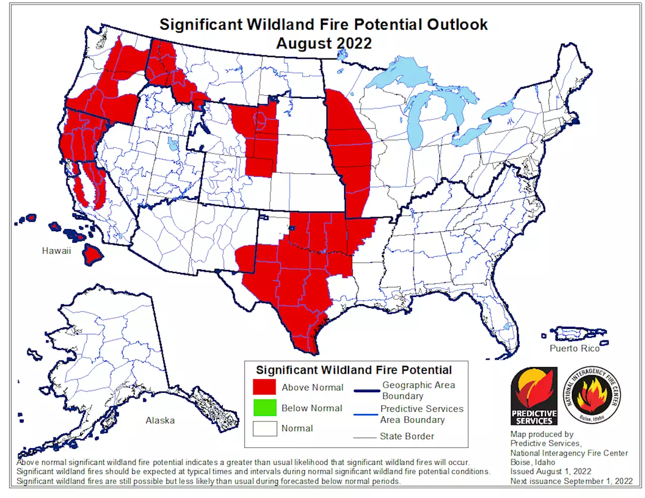 Why the next two months are crucial for wildfires in the SF Bay Area