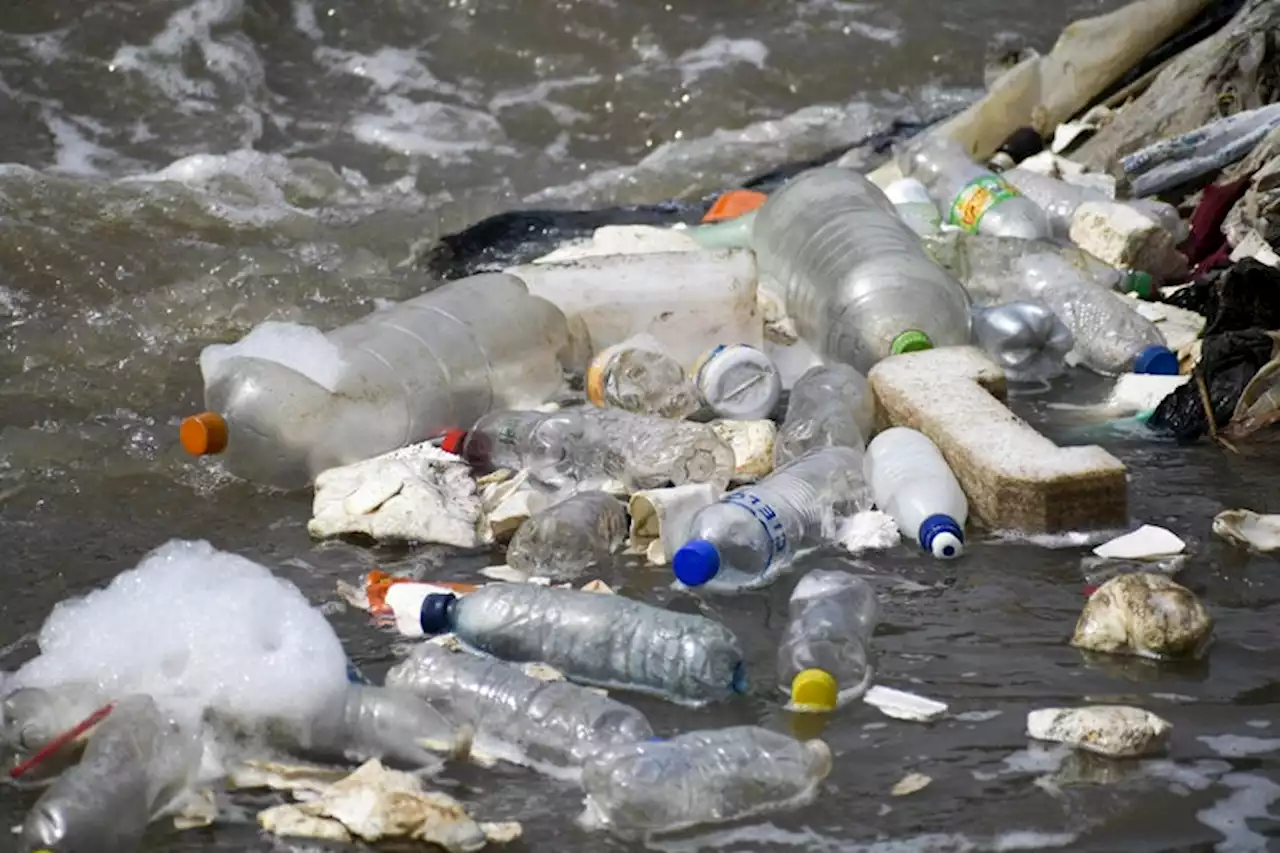 Bacteria Hit the High Seas, Thanks to Plastic Pollution