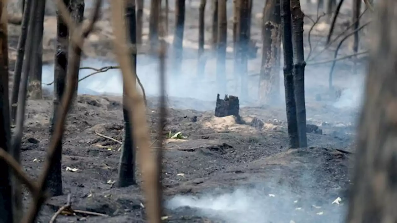 Lage im Feuergebiet beruhigt sich weiter