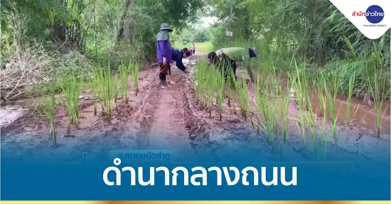 ถนนเป็นหลุมเป็นบ่อ ชาวบ้านอาบน้ำ-ดำนากลางถนน