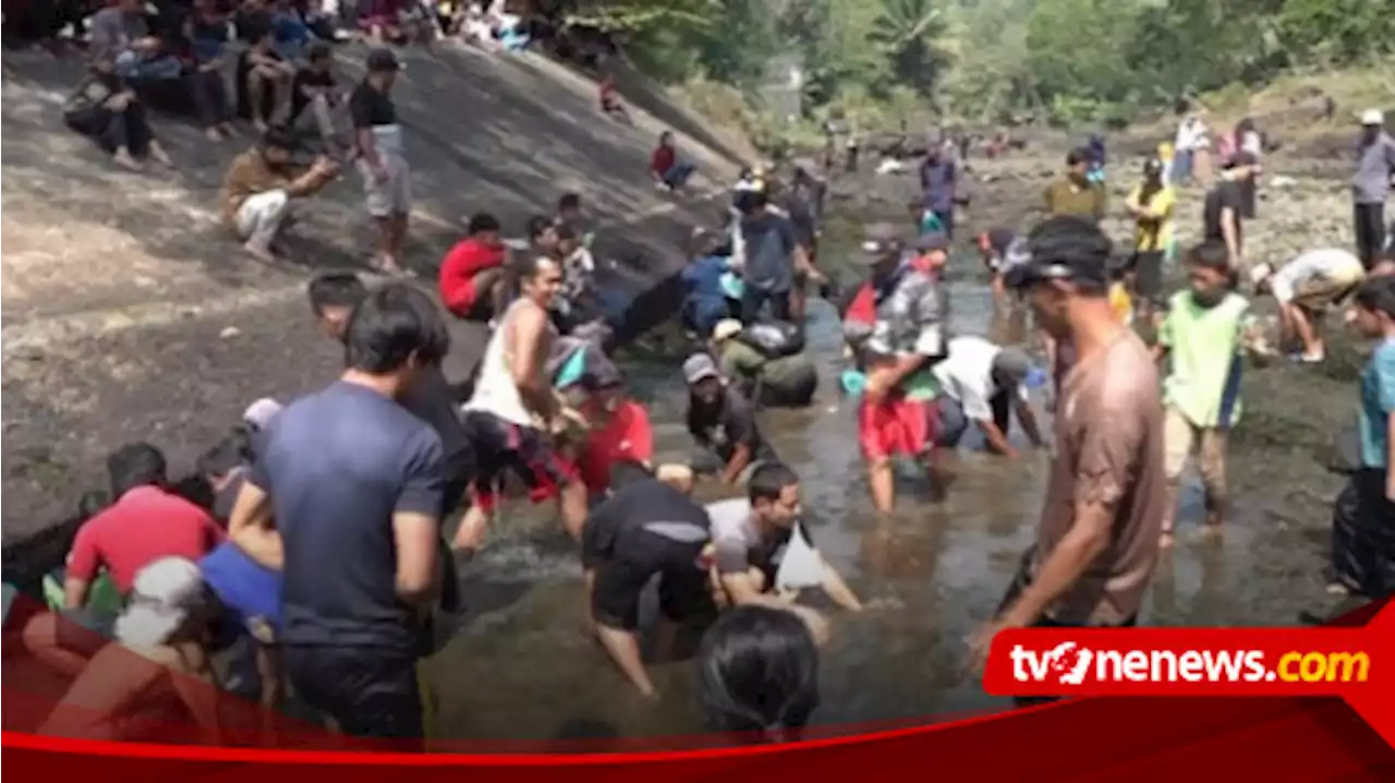 Ratusan Warga Turun ke Sungai untuk Tangkap Ikan di Festival Kalisat 2022