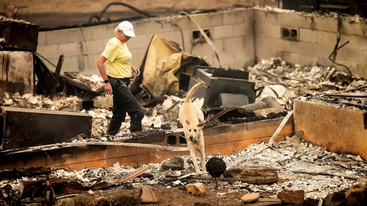 Authorities: 2 more bodies found within California fire zone