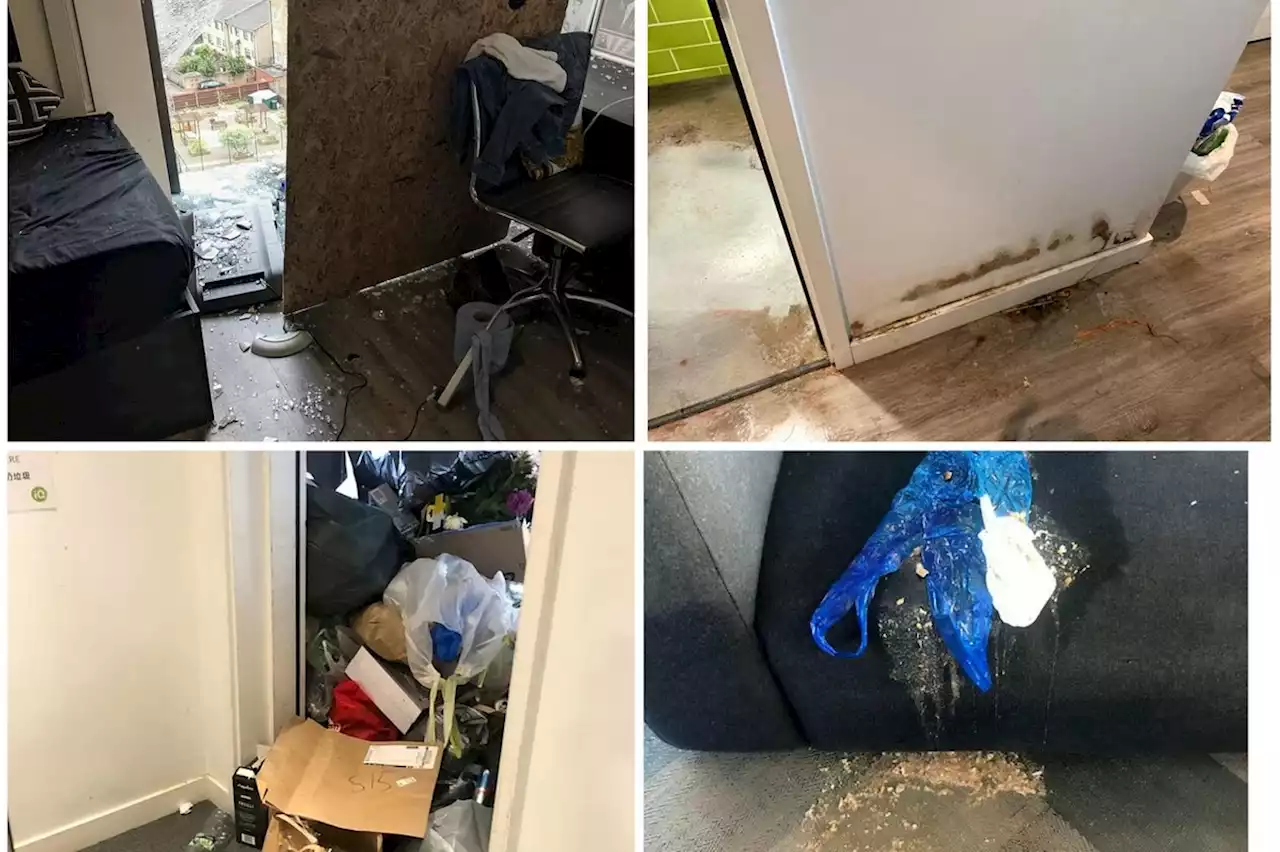 York student horrified by £1,600 university halls with broken heating, cockroaches and vomit