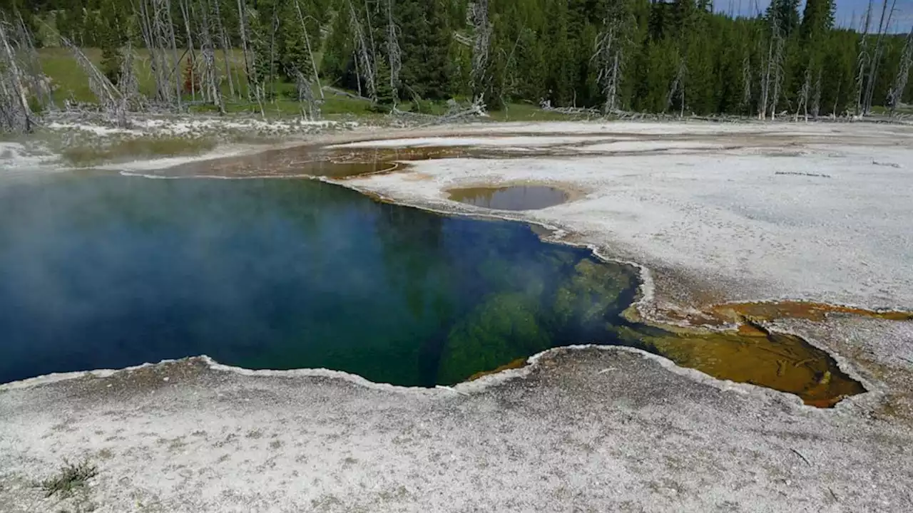 Human foot discovered floating in hot spring at Yellowstone National Park