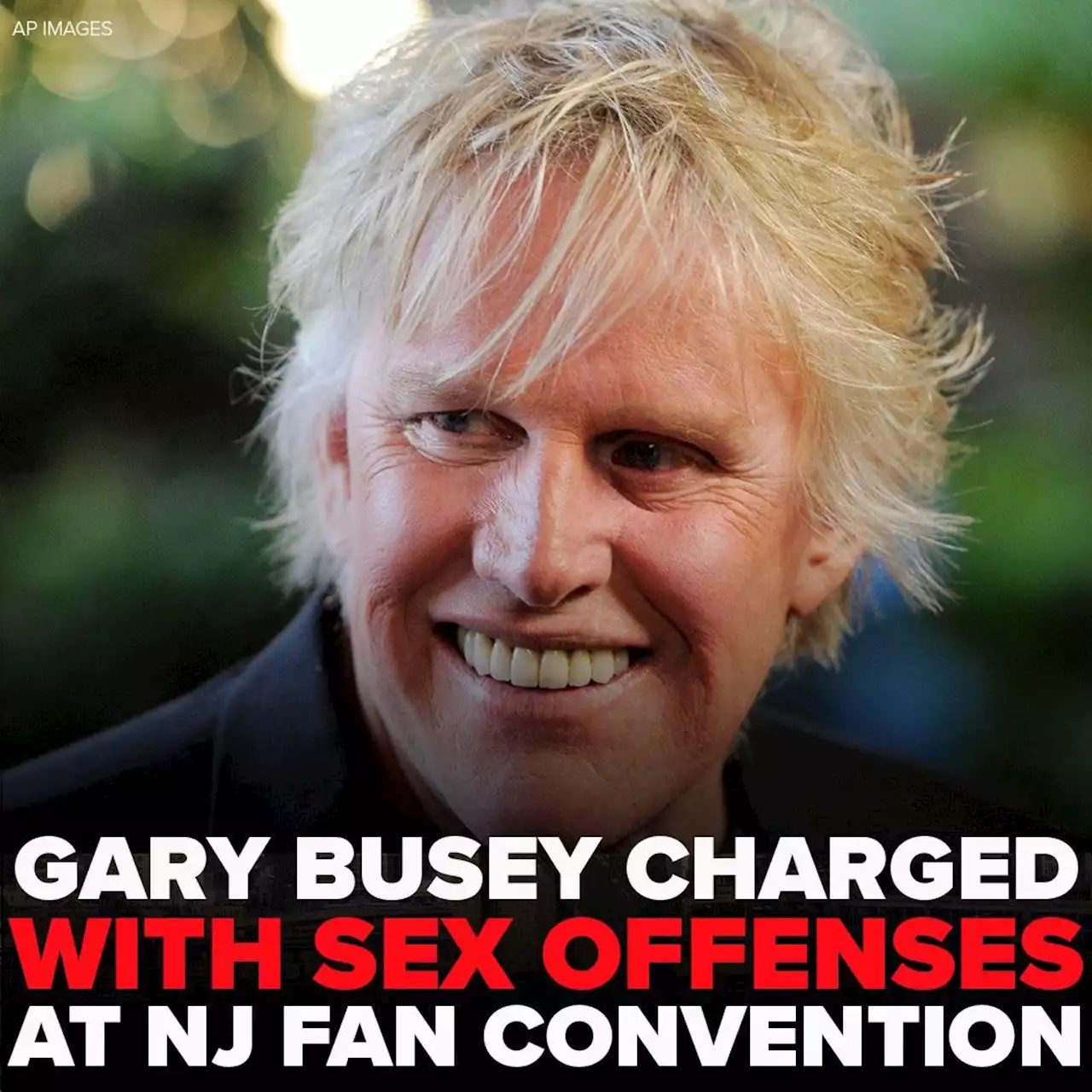 Gary Busey charged with sex offenses after incident at Monster-Mania Con in New Jersey