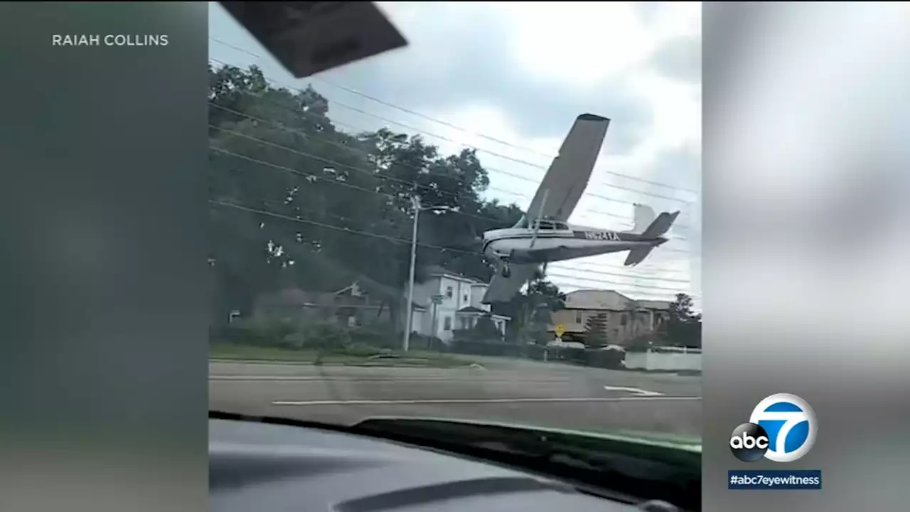 Pilot survives after small plane crash caught on camera in Florida neighborhood