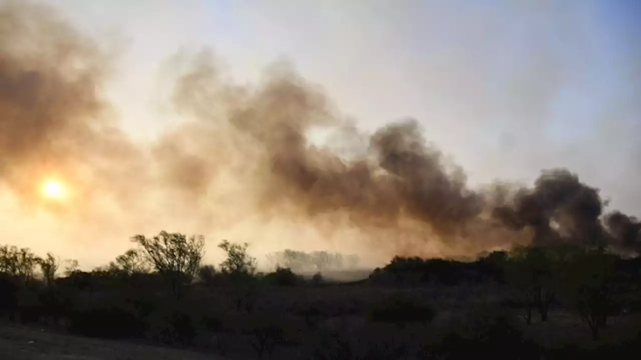 Hay focos de incendios forestales en Entre Ríos, Buenos Aires, San Luis y Catamarca