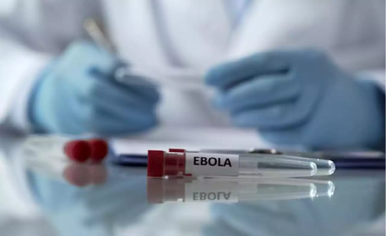 Africa: WHO Recommends New Ebola Treatments