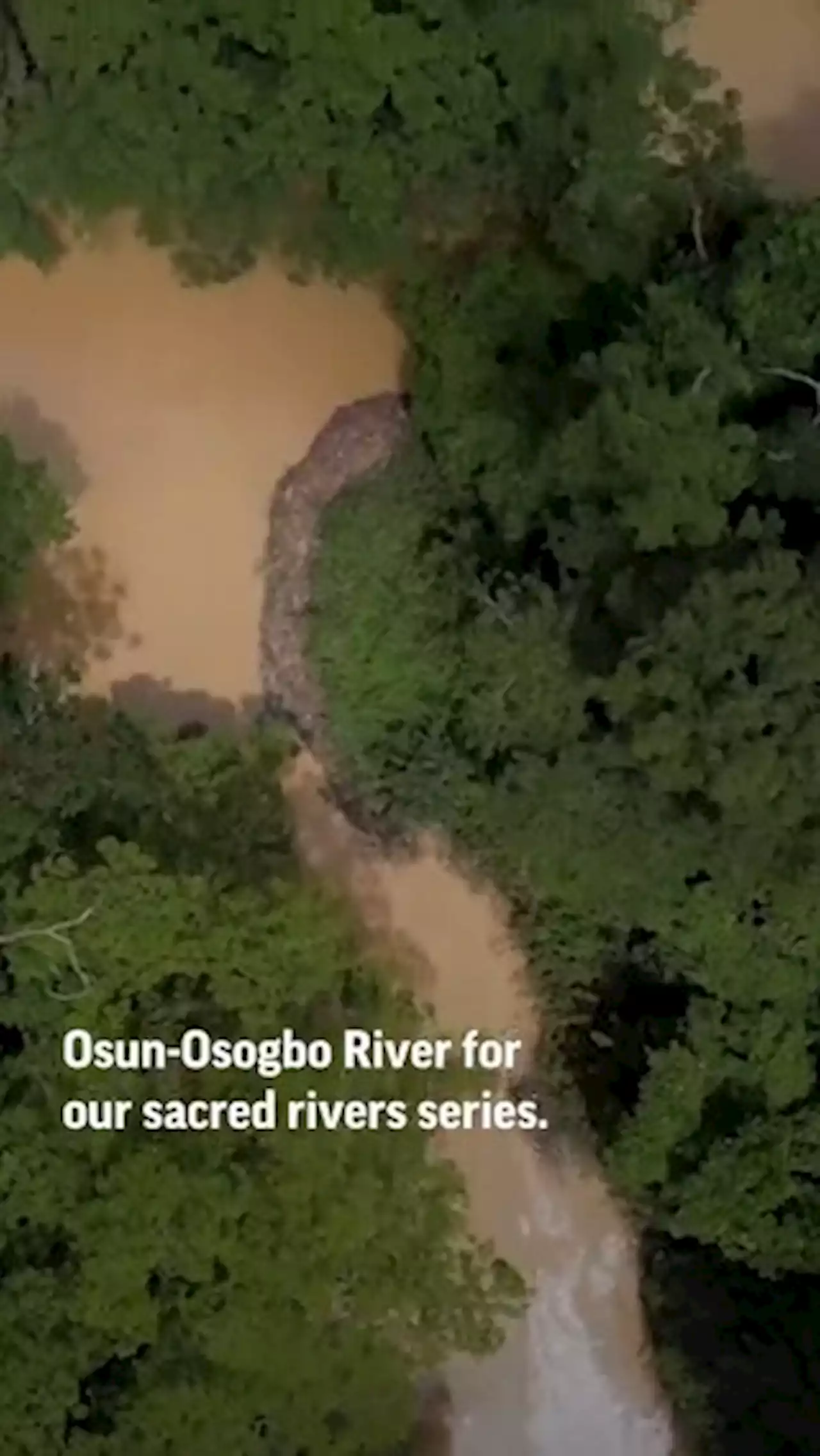 Nigeria's Osun River: Sacred, revered and increasingly toxic