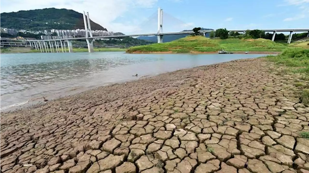 Suhu Lebih dari 40C, China Darurat Kekeringan Nasional