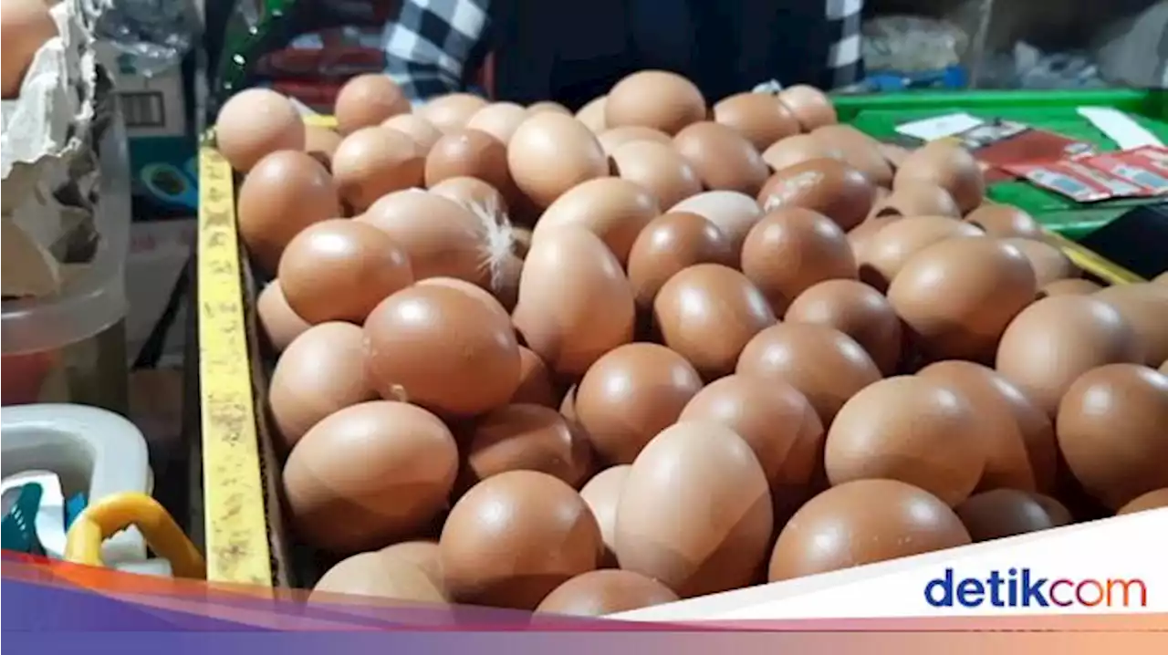 Buset Deh! Ternyata Ini Toh Biang Kerok Harga Telur Naik Gila-gilaan