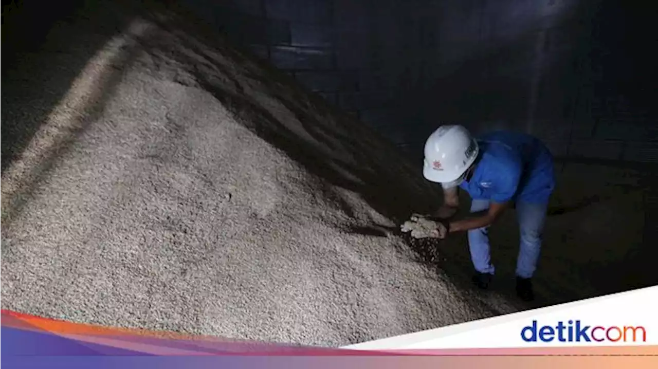 RI Mau Ekspor Beras ke Arab Saudi & Malaysia, Jagung ke Filipina