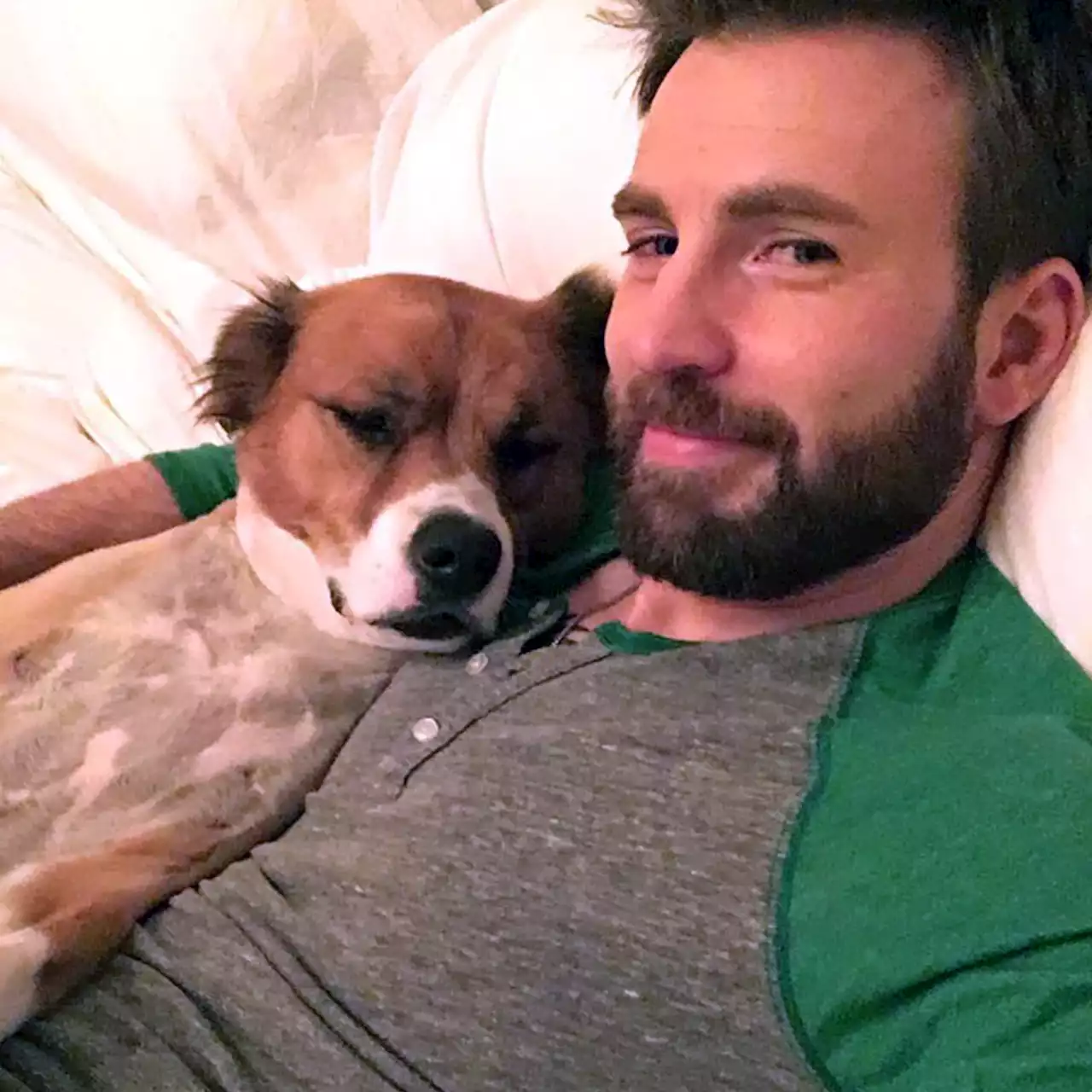 An Ode to Chris Evans' Cutest Moments With His Rescue Dog Dodger - E! Online