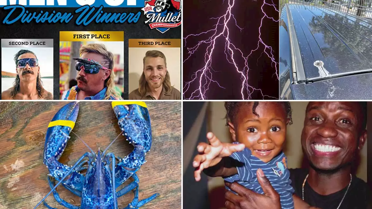 Sweet mullets, lightning strikes, blue lobsters: This week's heartwarming, offbeat headlines