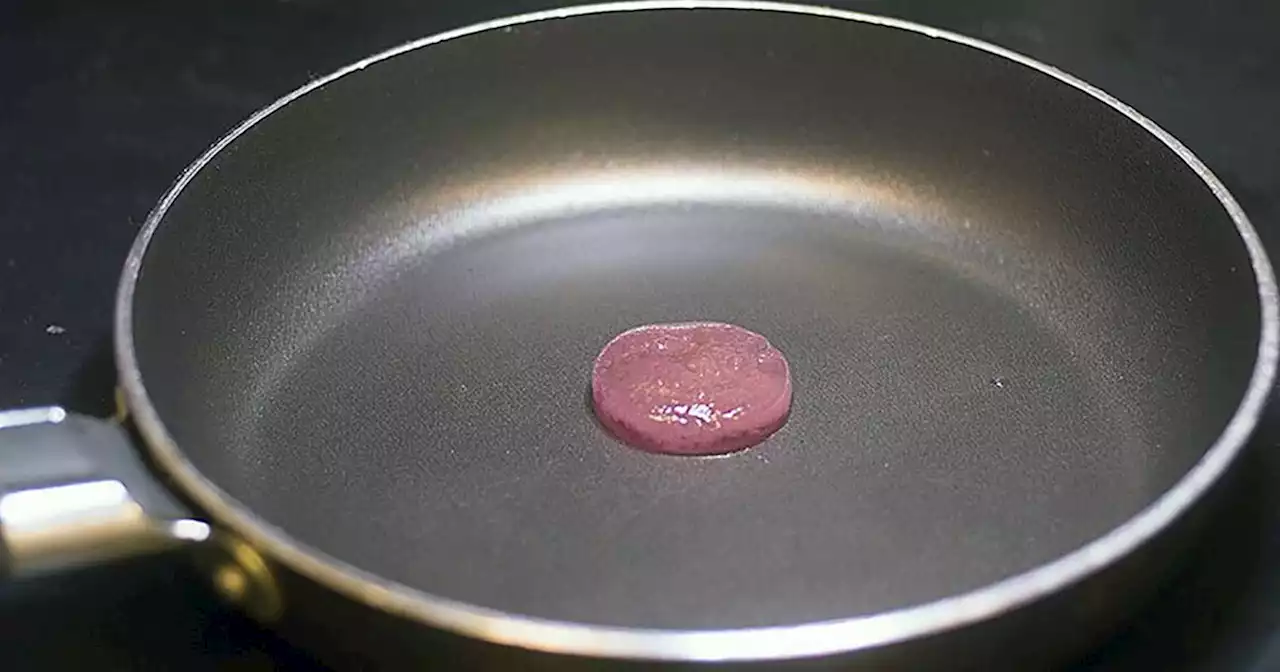 Scientists Cook Comically Tiny Lab-Grown Hamburger