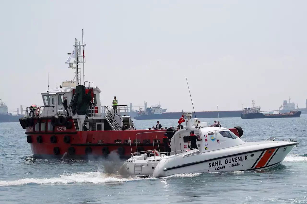 Two more grain ships leave Ukraine, Turkey’s defence ministry says