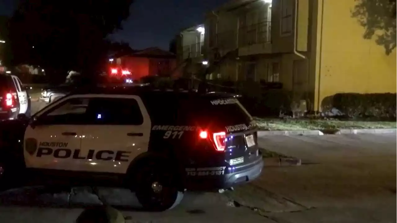 HPD: Man killed after being shot in the stomach wresting woman for a gun